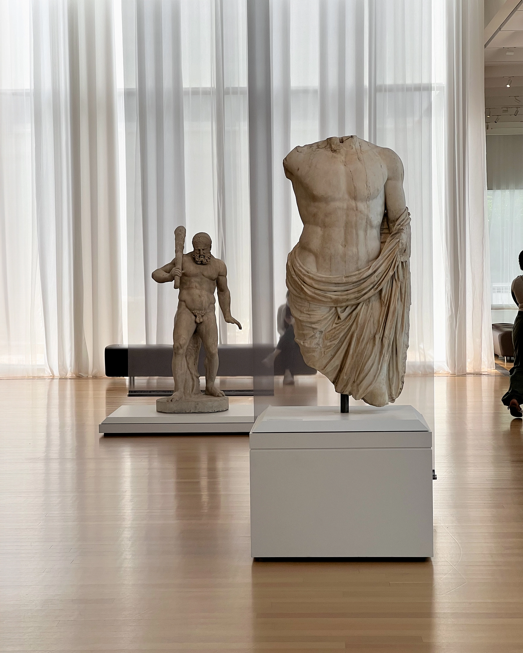 Two classical marble statues displayed in a museum with sheer white curtains and wooden floors in the background.