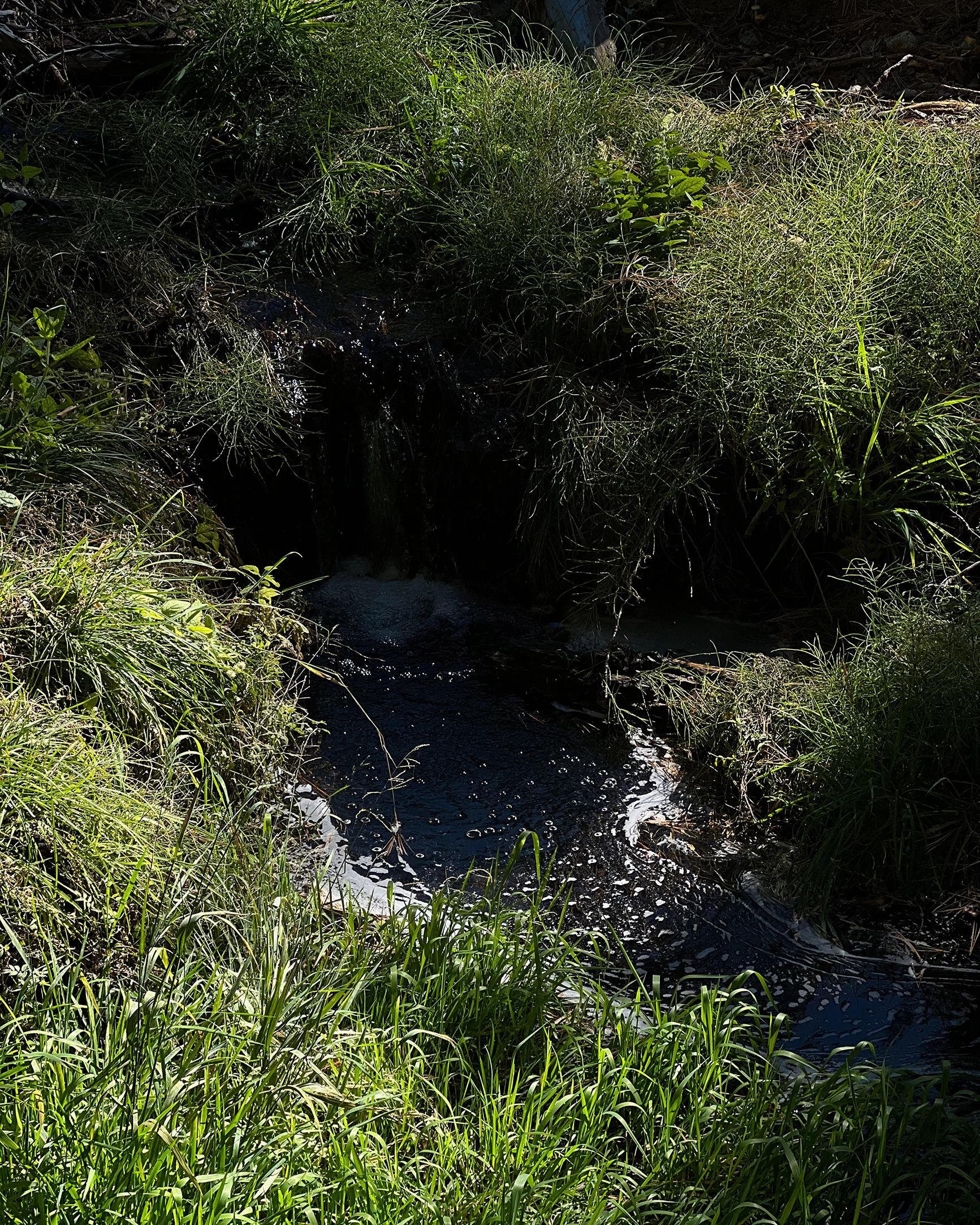 Sunlit green grass surrounding a small dark water stream with gentle ripples and foam.