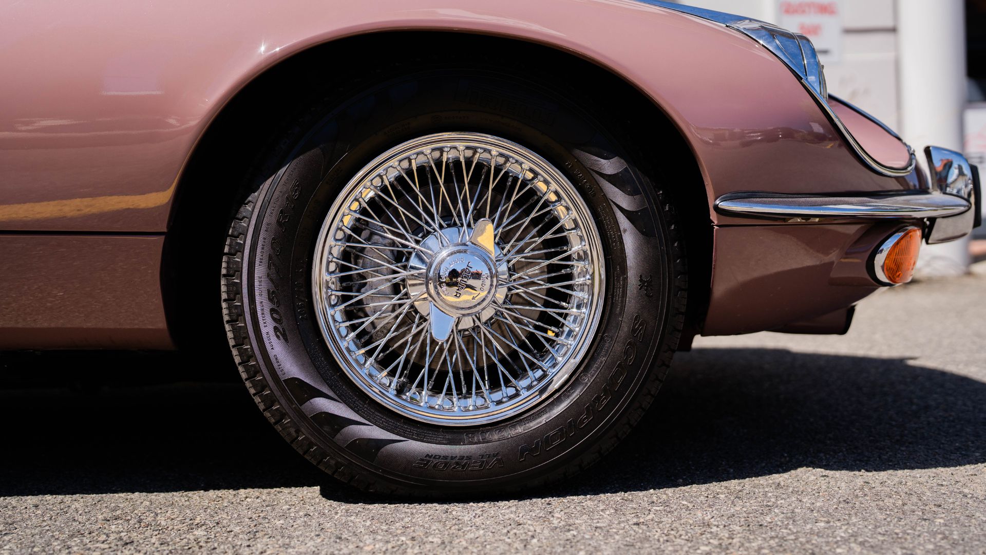 image of signature dish for a modern restaurant