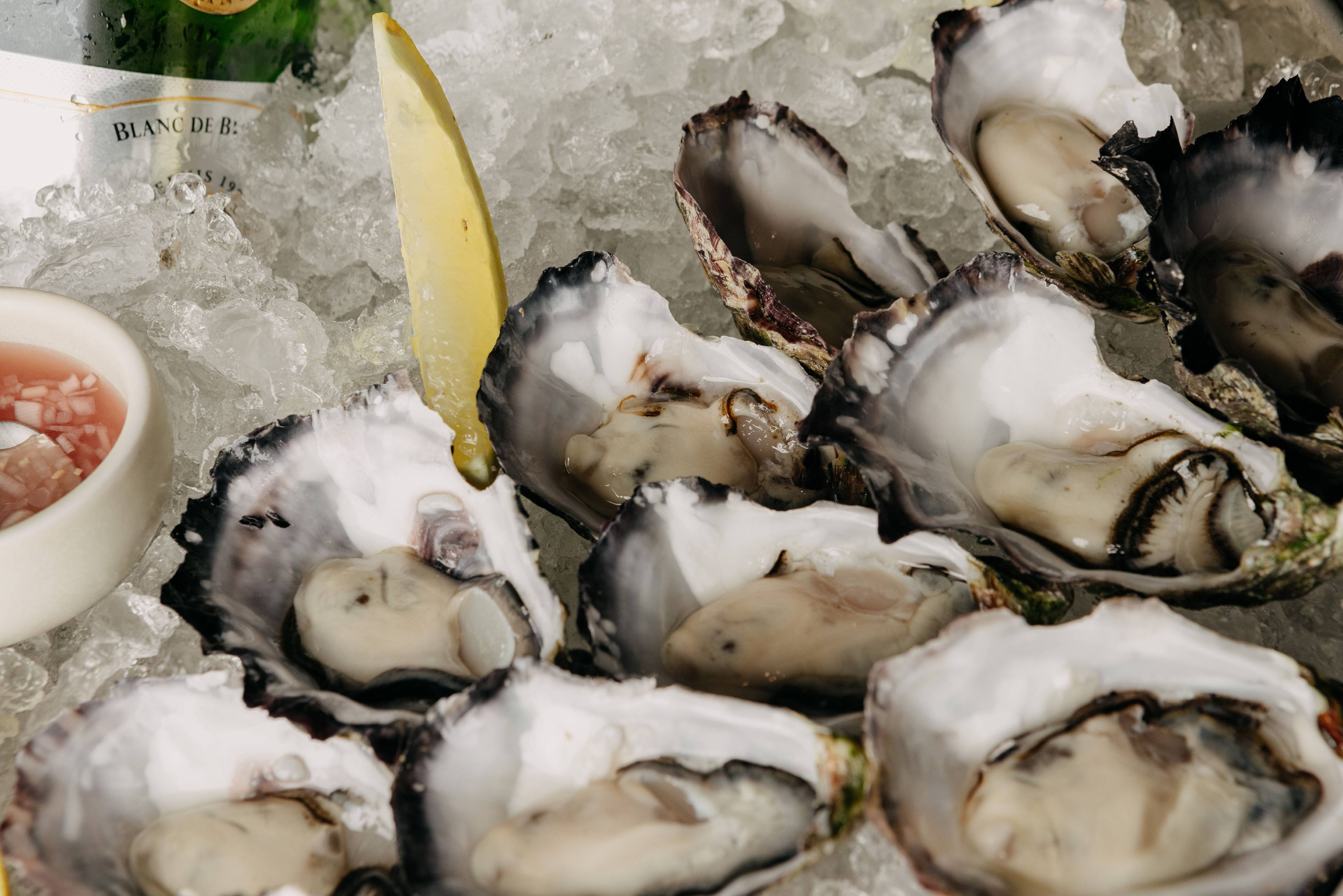 [background image] image of office workspace with desks (for a film production company)