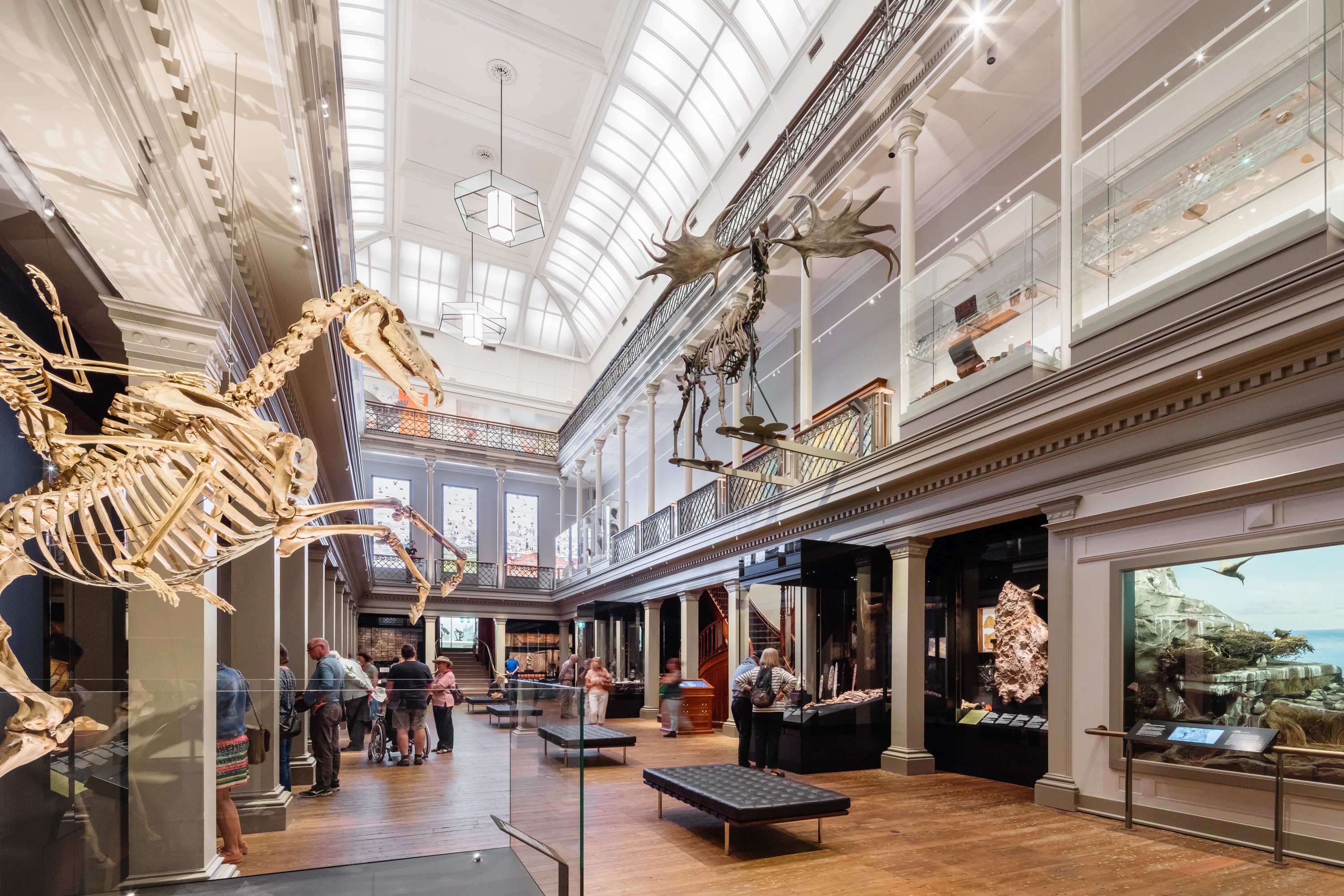 Long Gallery at the Australian Museum