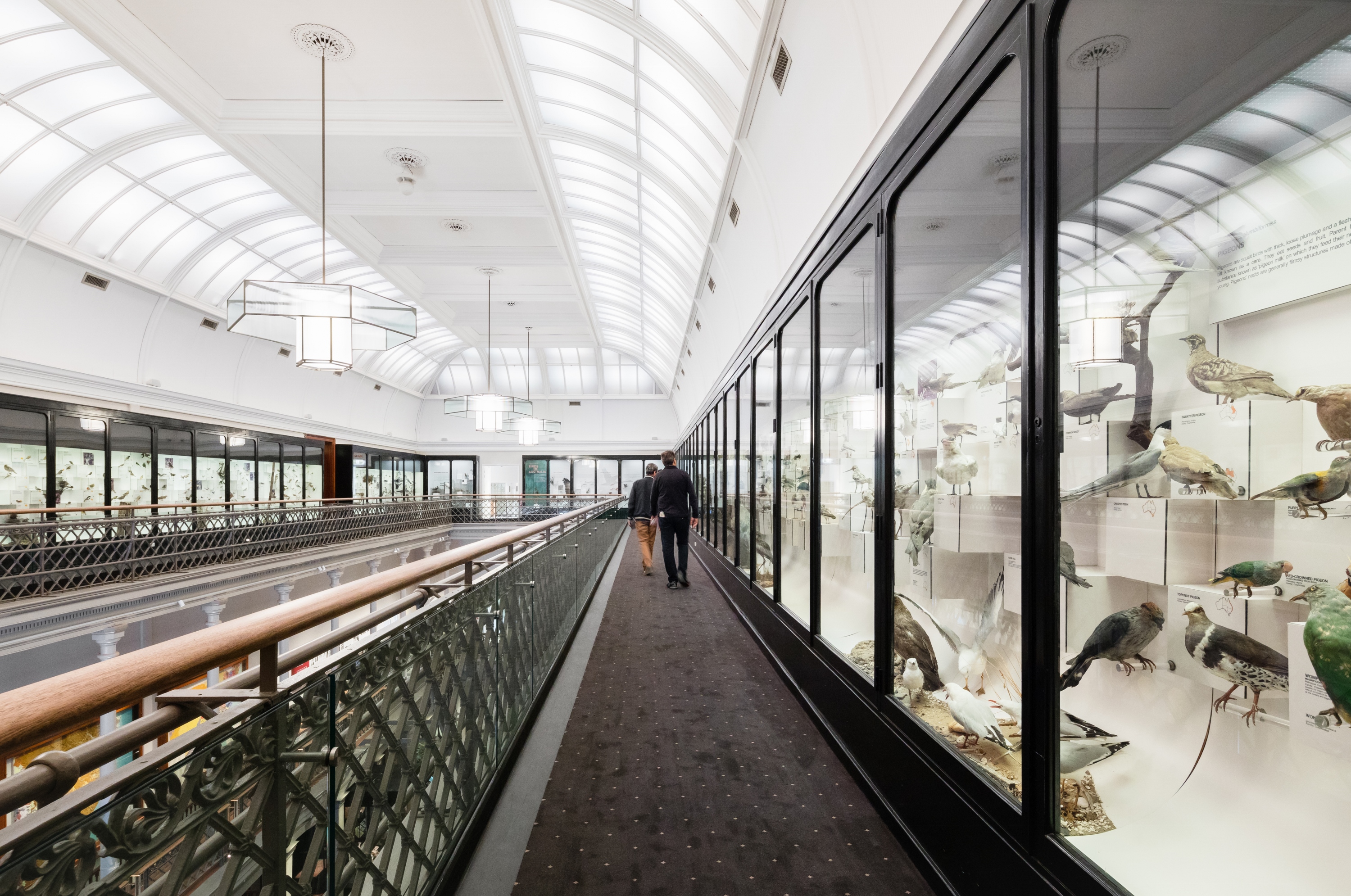 Long Gallery at the Australian Museum