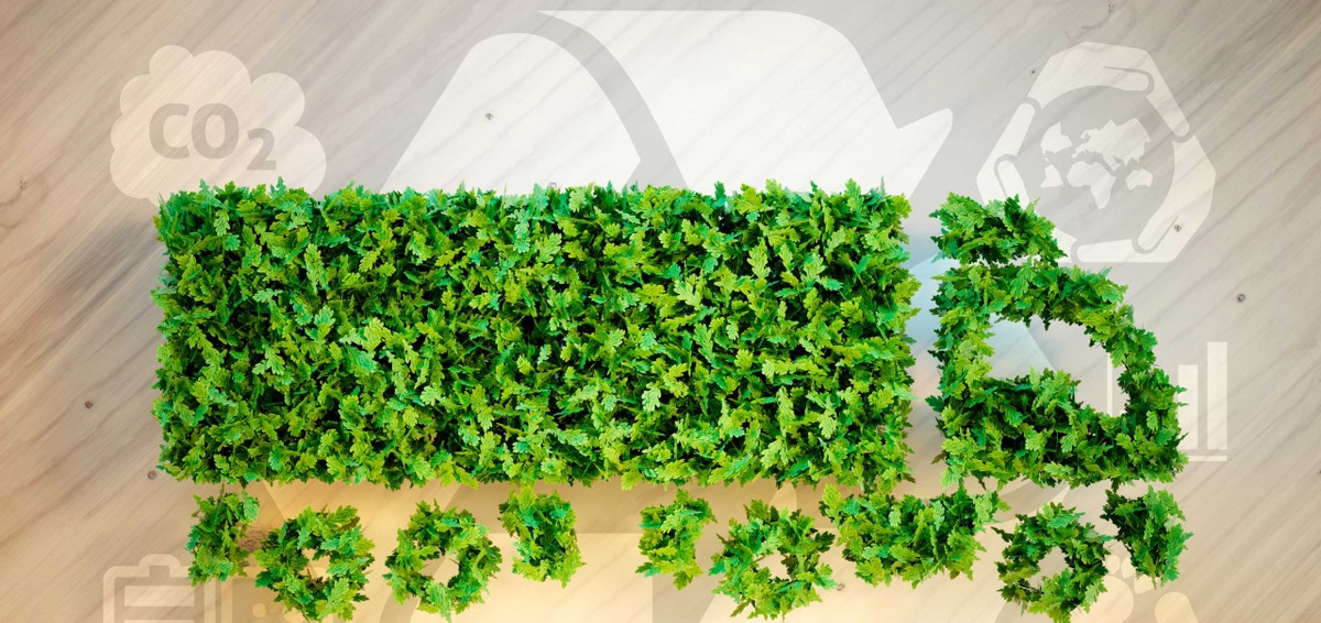 TAIMATSU、DHLのサステナブル輸送「GoGreen Plus」を活用し CO₂排出量を23.7%削減 ― 伝統を未来に届ける物流