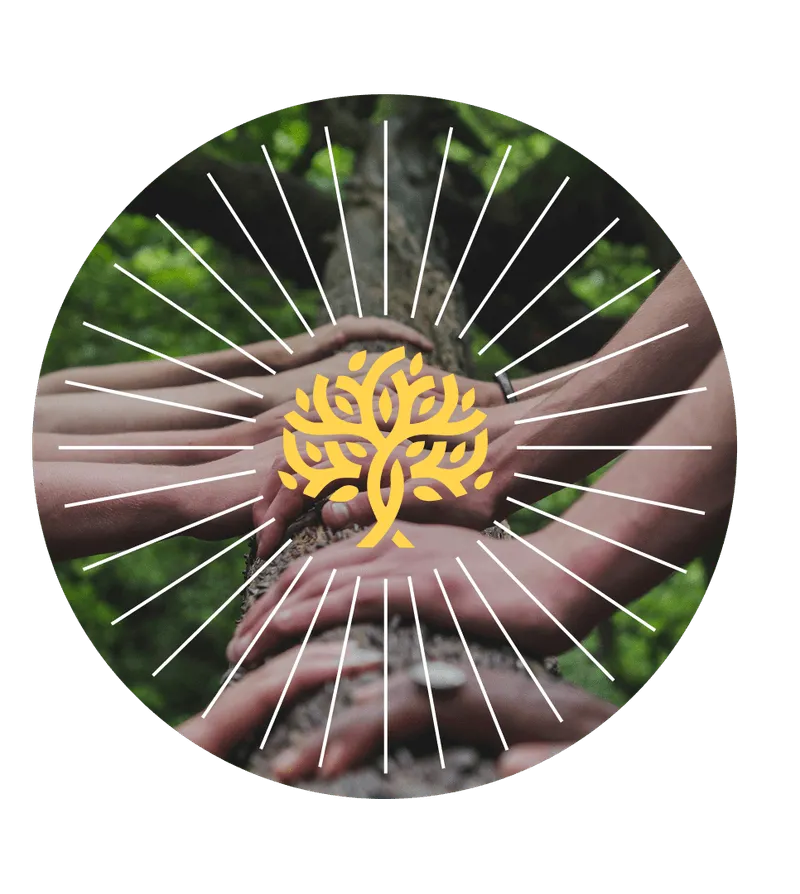 Multiple hands of diverse individuals stacked together around a tree trunk with a yellow stylized tree graphic and radiating white lines overlay.