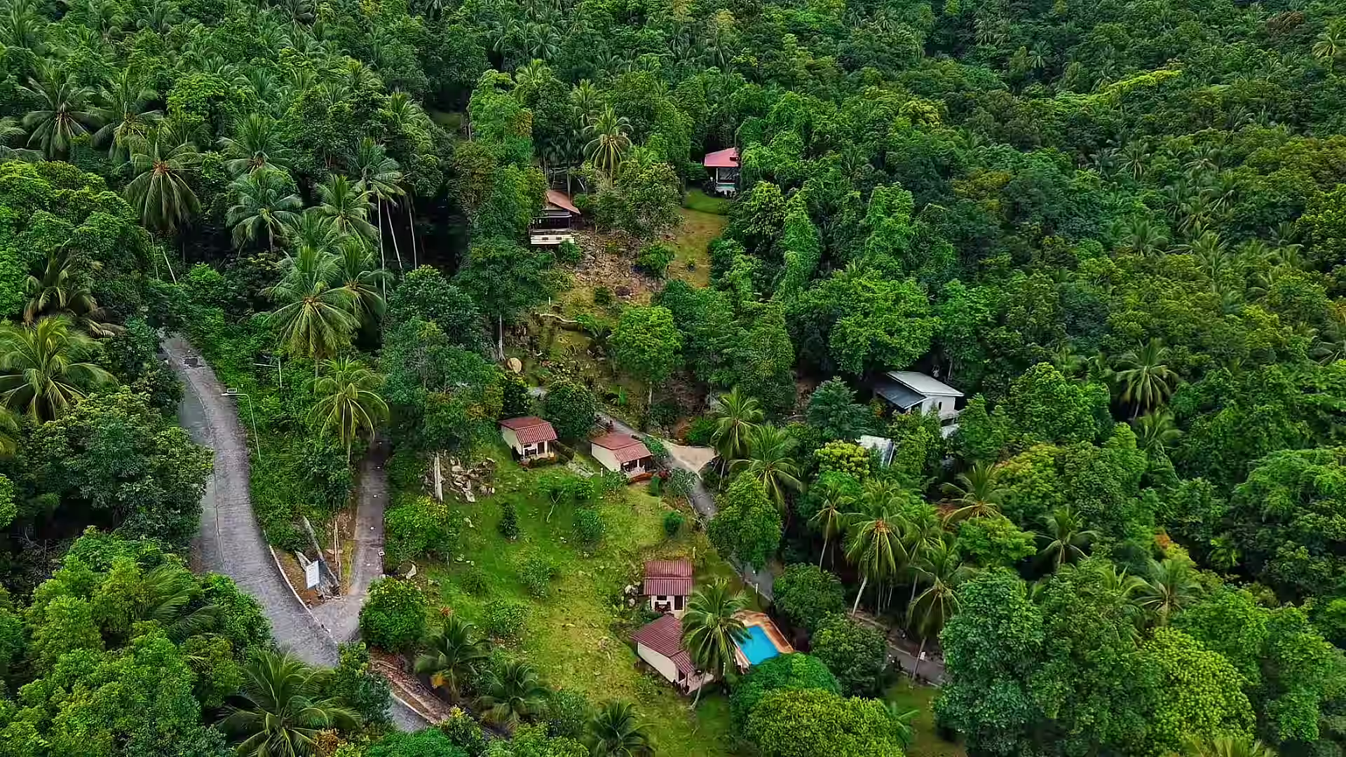 Aerial view of a dense tropical forest surrounding a small cluster of houses with red roofs and a swimming pool.
