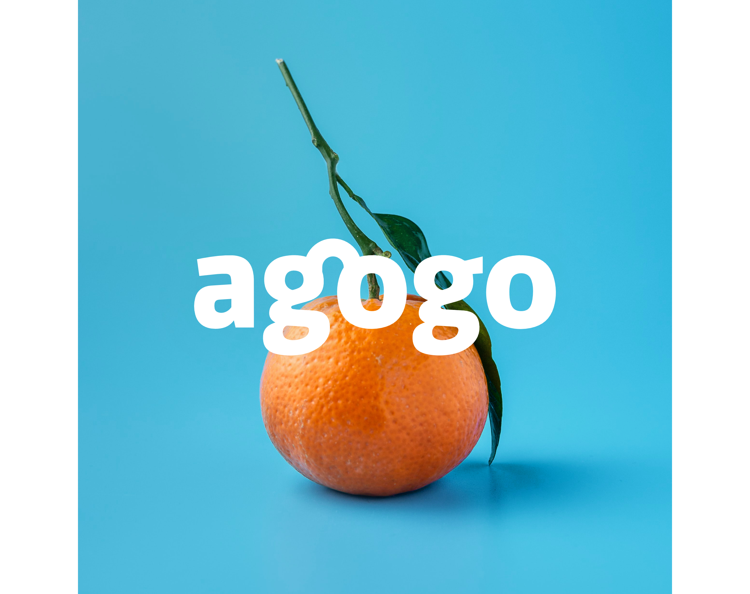 Agogo Logo Execution - Example 1