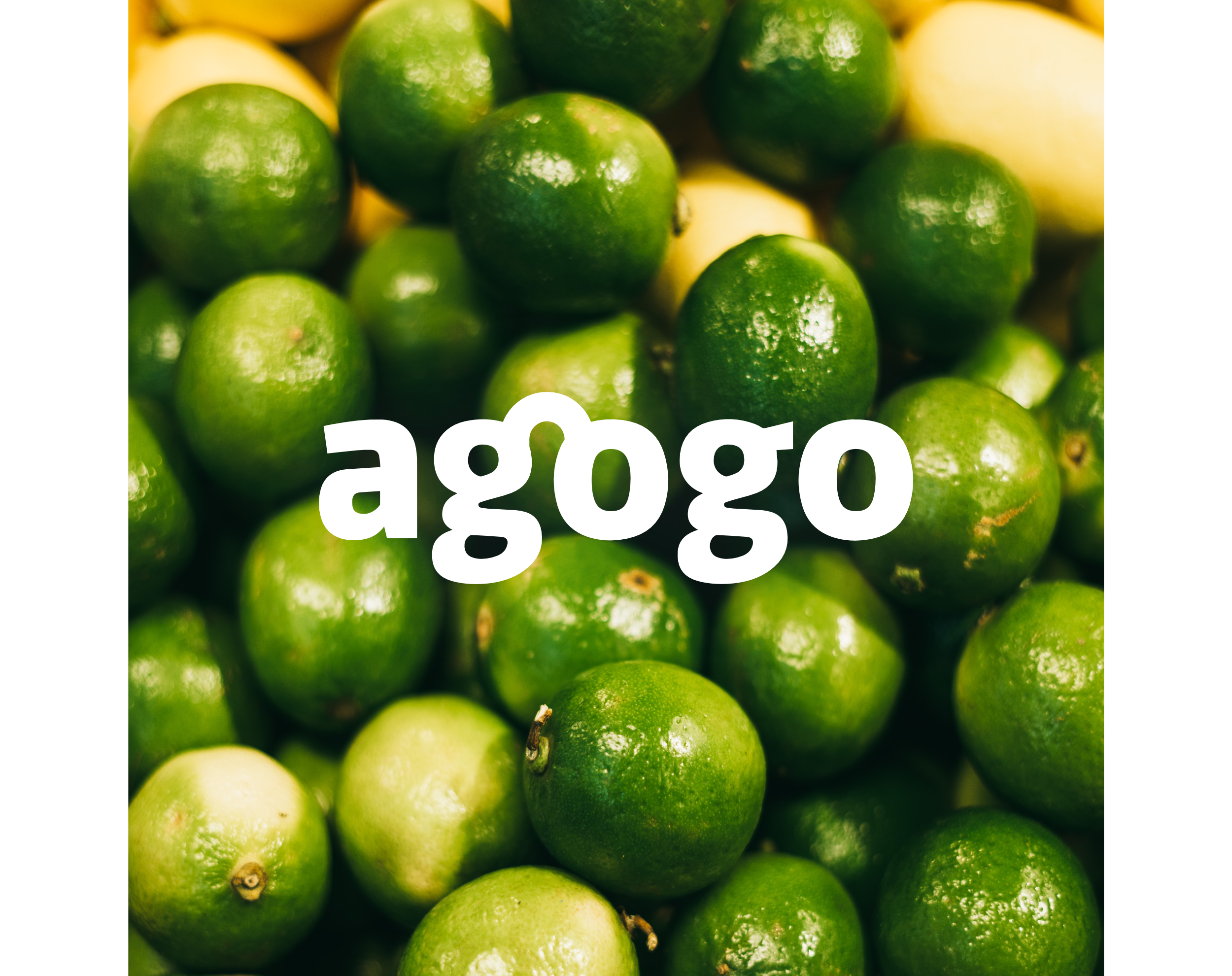 Agogo Logo Execution - Example 3