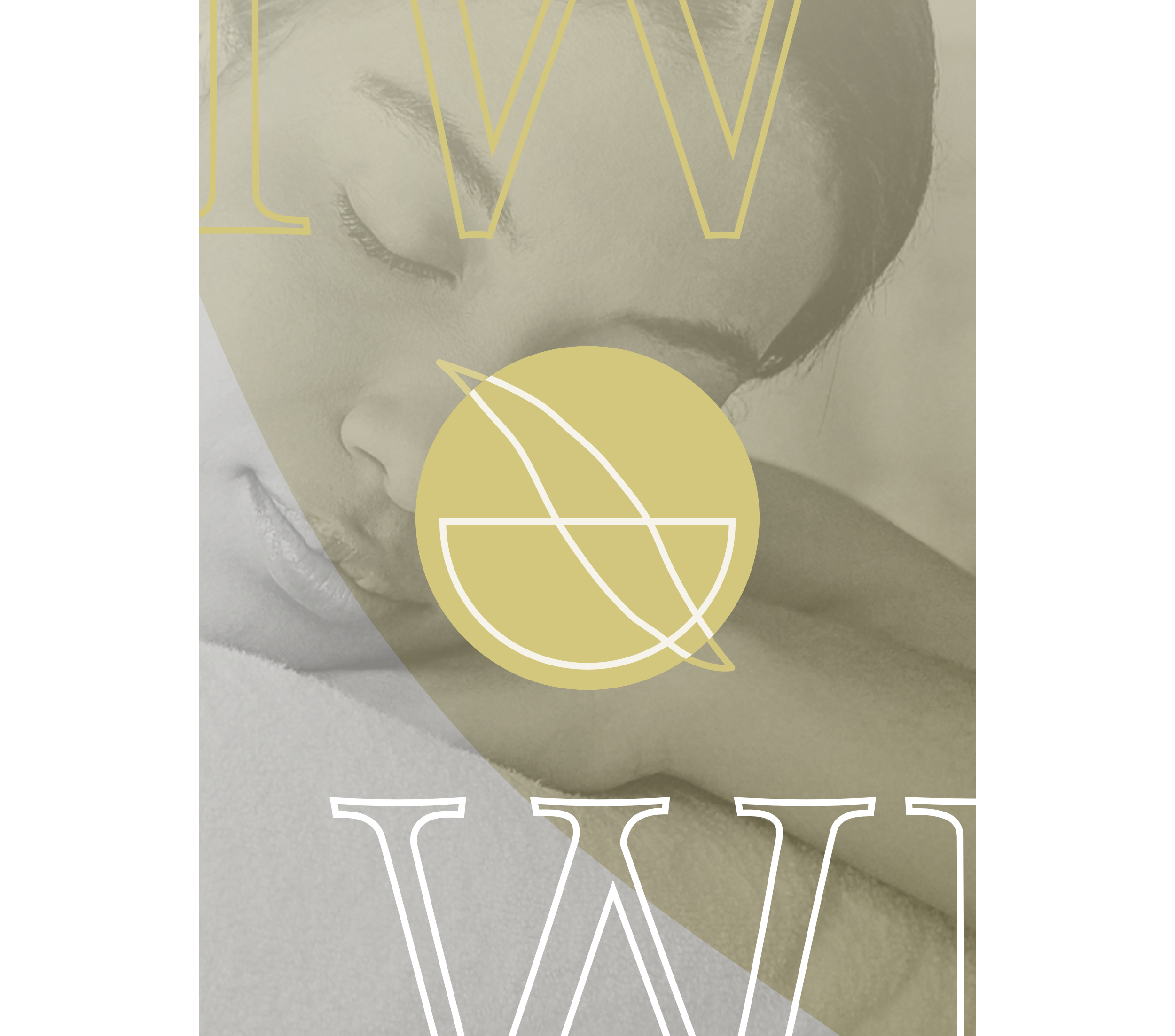 IW elegant logo version - presentation 3