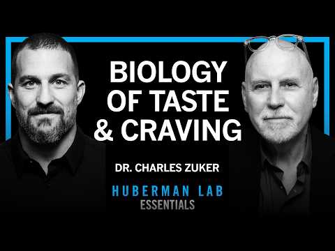 Essentials: The Biology of Taste Perception & Sugar Craving | Dr. Charles Zuker
