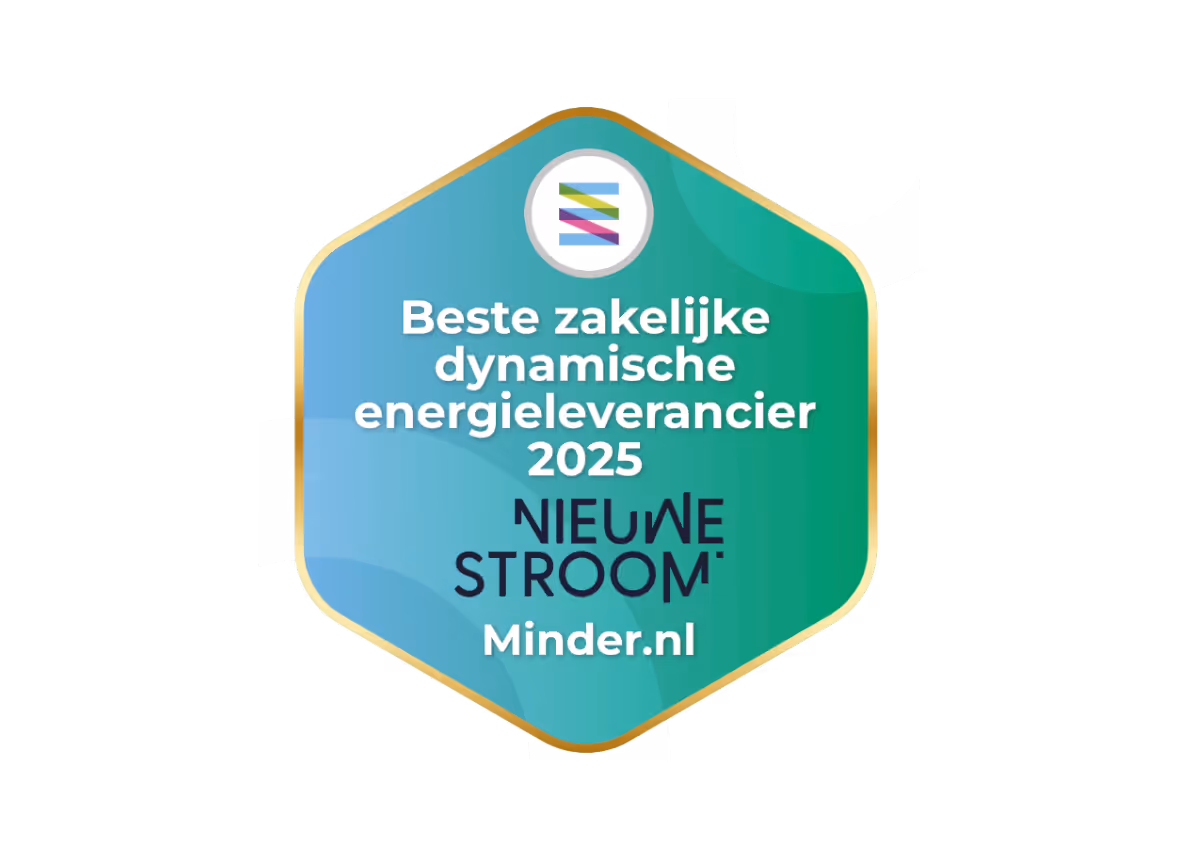 NieuweStroom beste zakelijke dynamische energieleverancier 2025 award