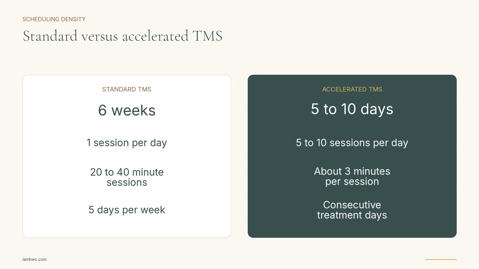 Standard and accelerated TMS compared by daily frequency, session length, and treatment-day pattern.