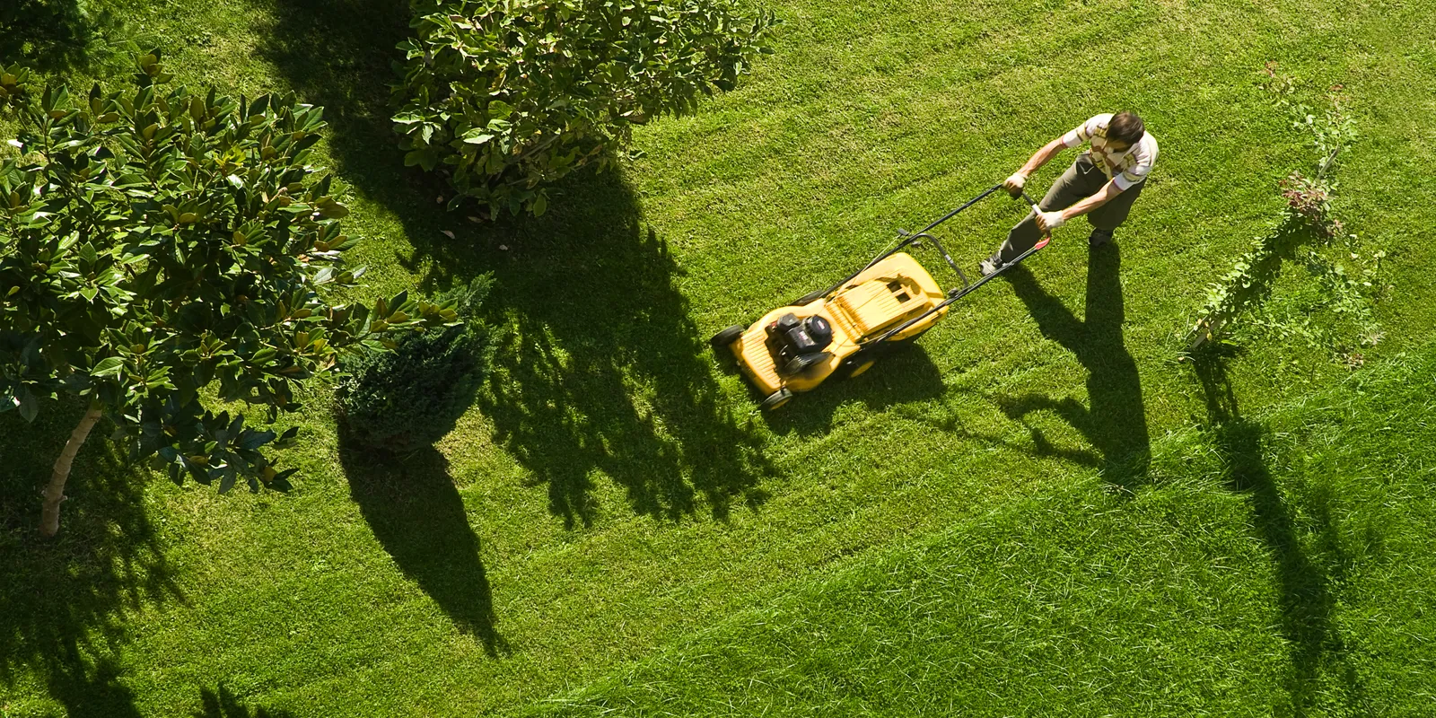 Aerial photo of a man mowing the loan with a yellow lawn mower