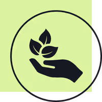 Black checkmark inside a circle overlapping a pale green square background.