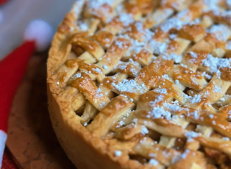 Klassischer gedeckter Apfelkuchen mit goldbrauner Kruste und Puderzucker – gebacken nach einem leichten Anatomie-Rezept.