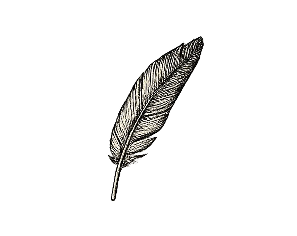 Illustration einer einzelnen Feder – Symbol für Leichtigkeit, Freiheit und innere Klarheit im Veränderungsprozess.