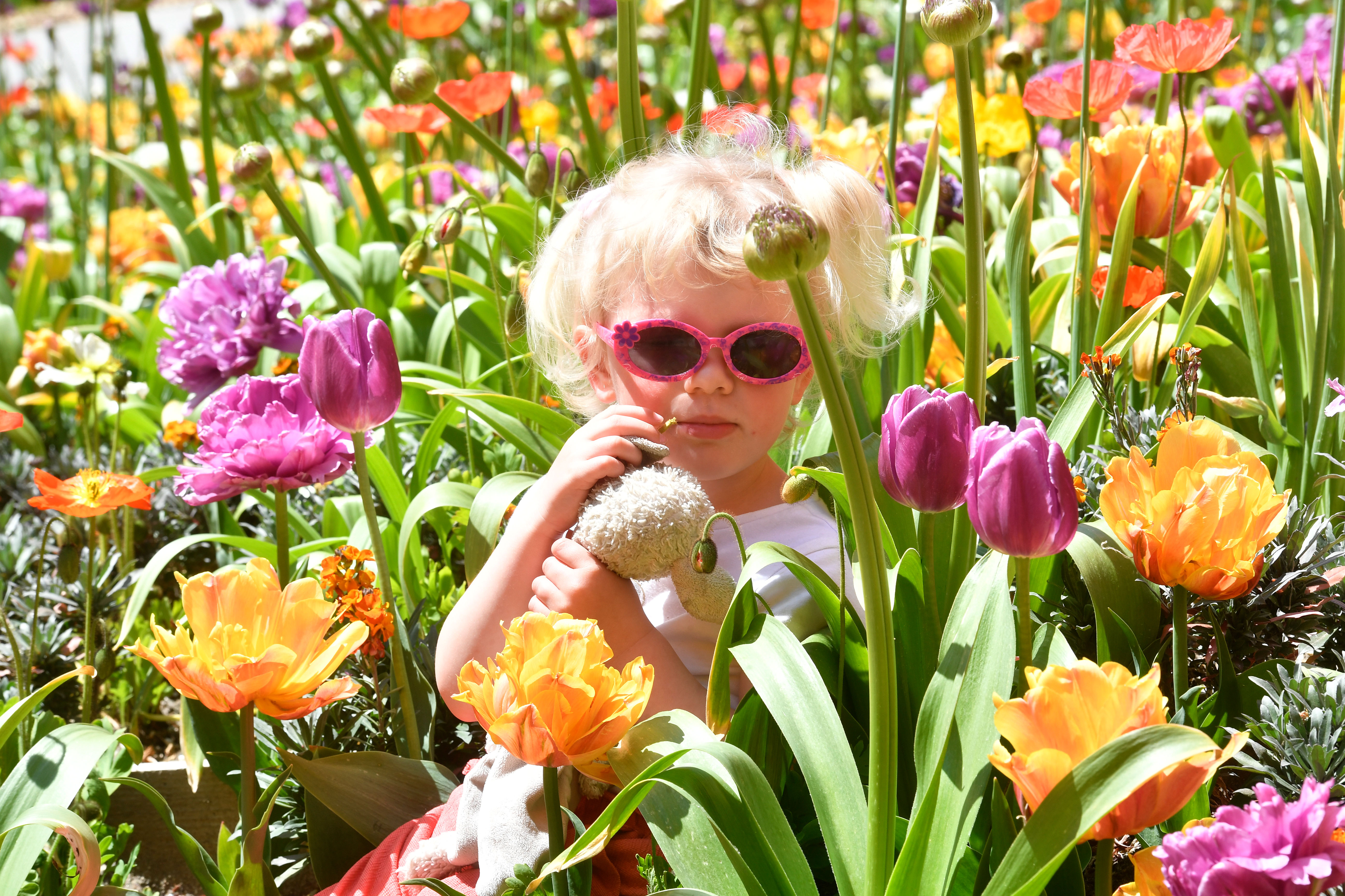 Junges Mädchen sitzt zwischen Blumen