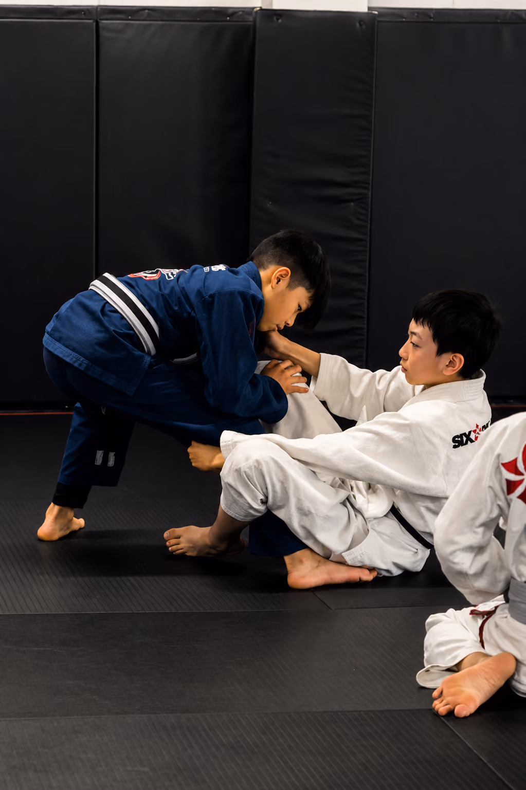 Jiu Jitsu Fundamentals (Kids & Adults)