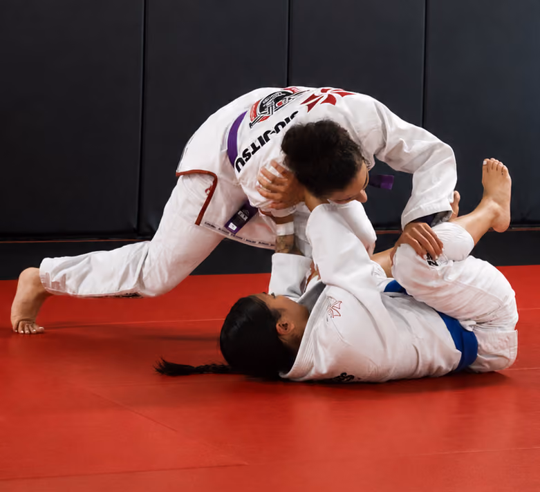 Jiu Jitsu