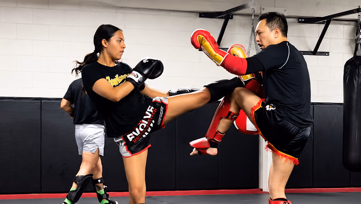 Practical stand-up defense skills