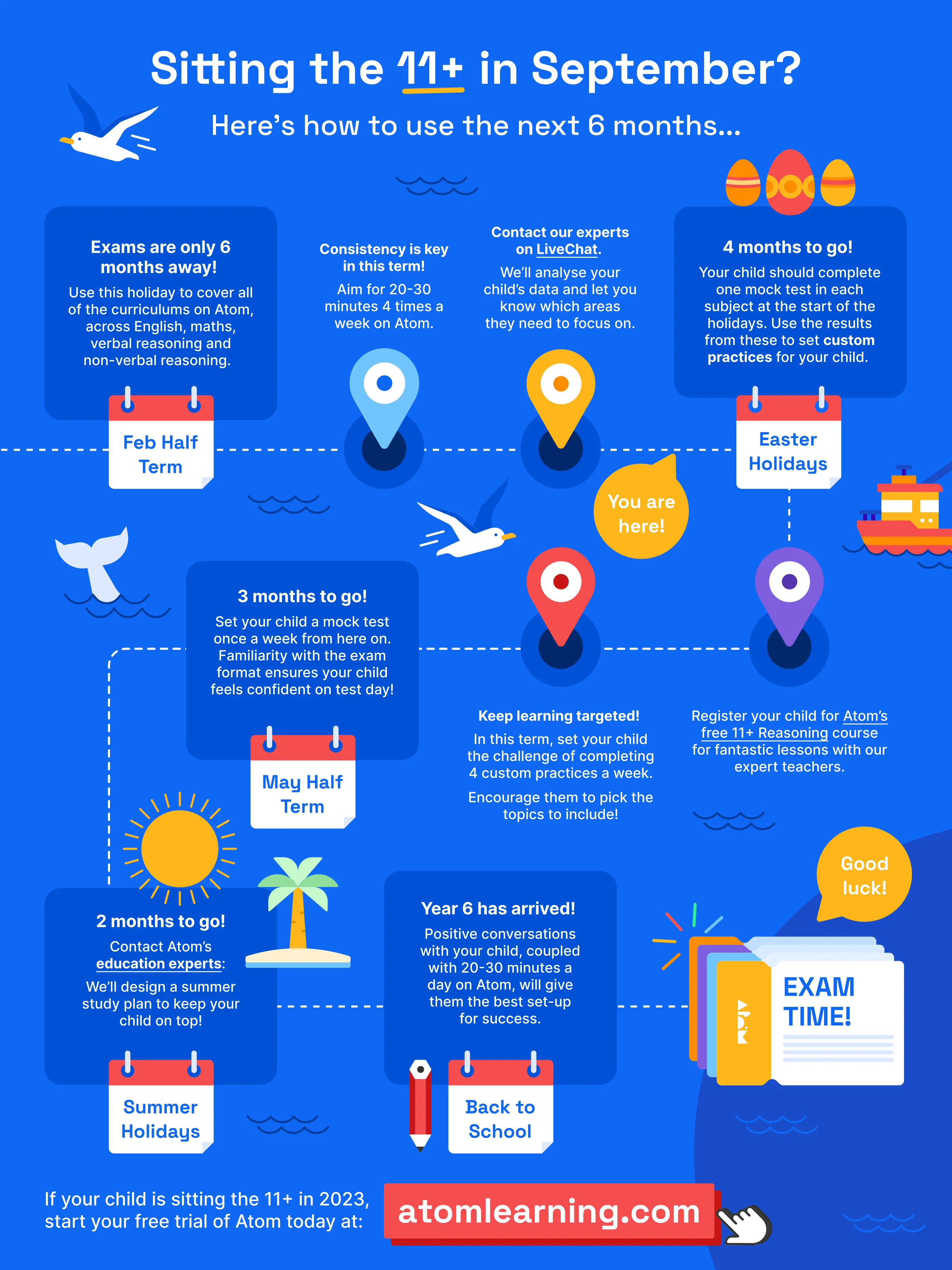 Sitting the 11+: 5 months to go timeline