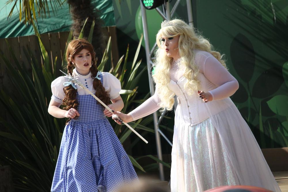 The Wildest Wizard of Oz