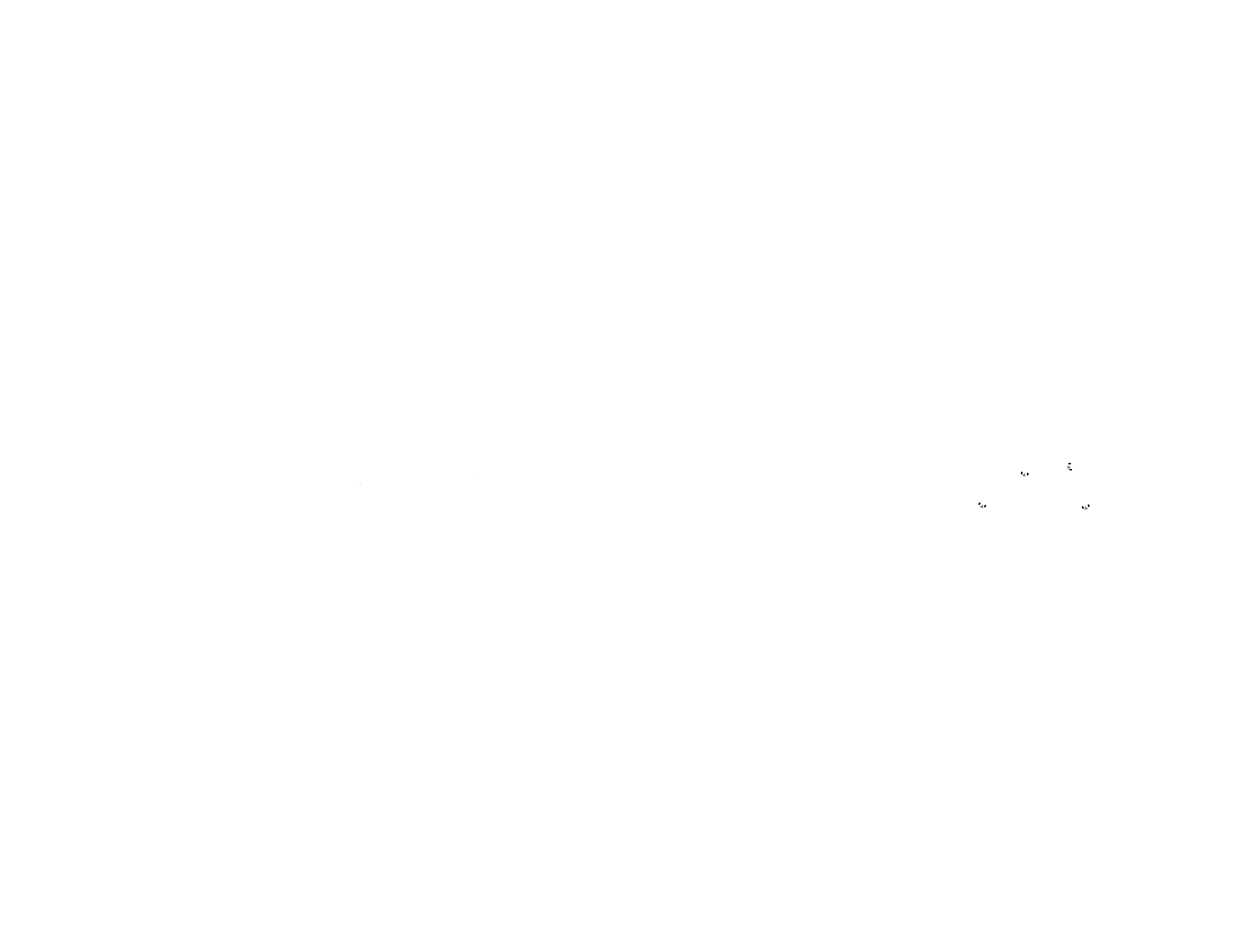 Trusted by Leading Brands