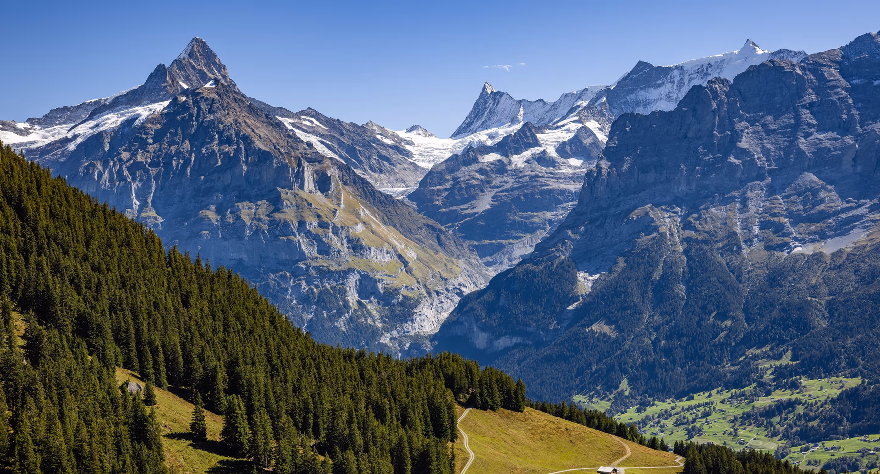 Landschaft mit grünen Wäldern und Wiesen vor schneebedeckten Gipfeln der Schweizer Alpen unter blauem Himmel.