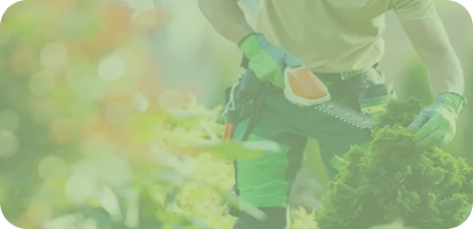 Langzeitpflege Bad Homburg & Eschborn