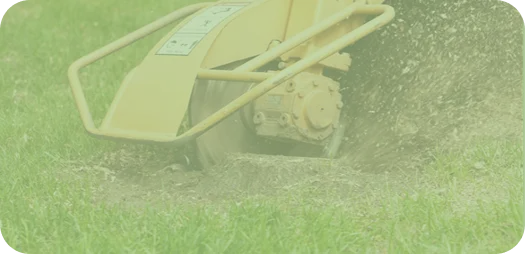 Baumstumpfentfernung Bad Homburg & Eschborn