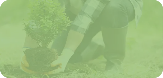 Pflanzenarbeiten Bad Homburg & Eschborn