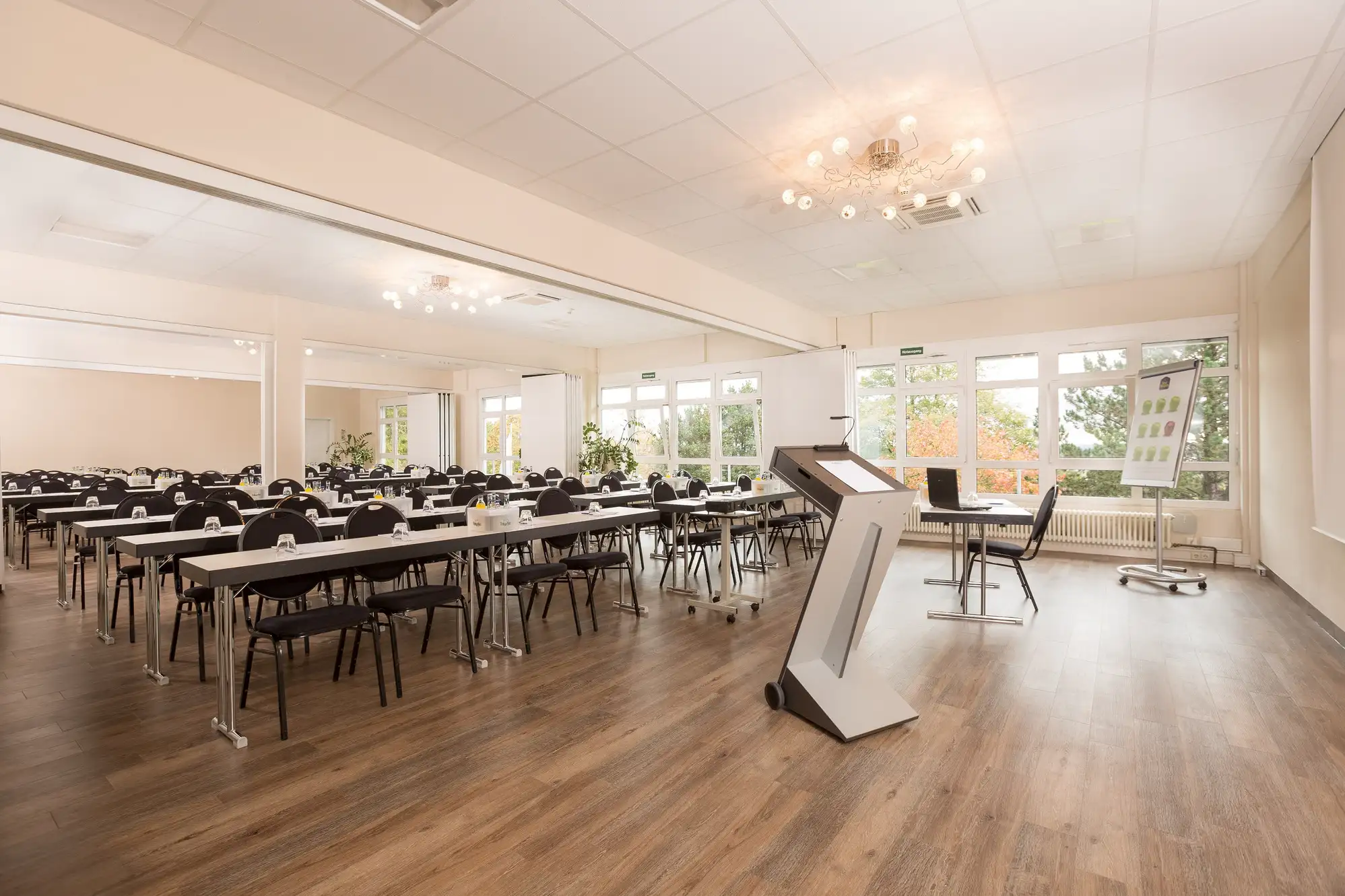 Heller, moderner Konferenzraum mit  Rednerpult mit Mikrofon vor Reihen mit Tischen und Stühlen sowie einem Flipchart vor großen Fenstern.