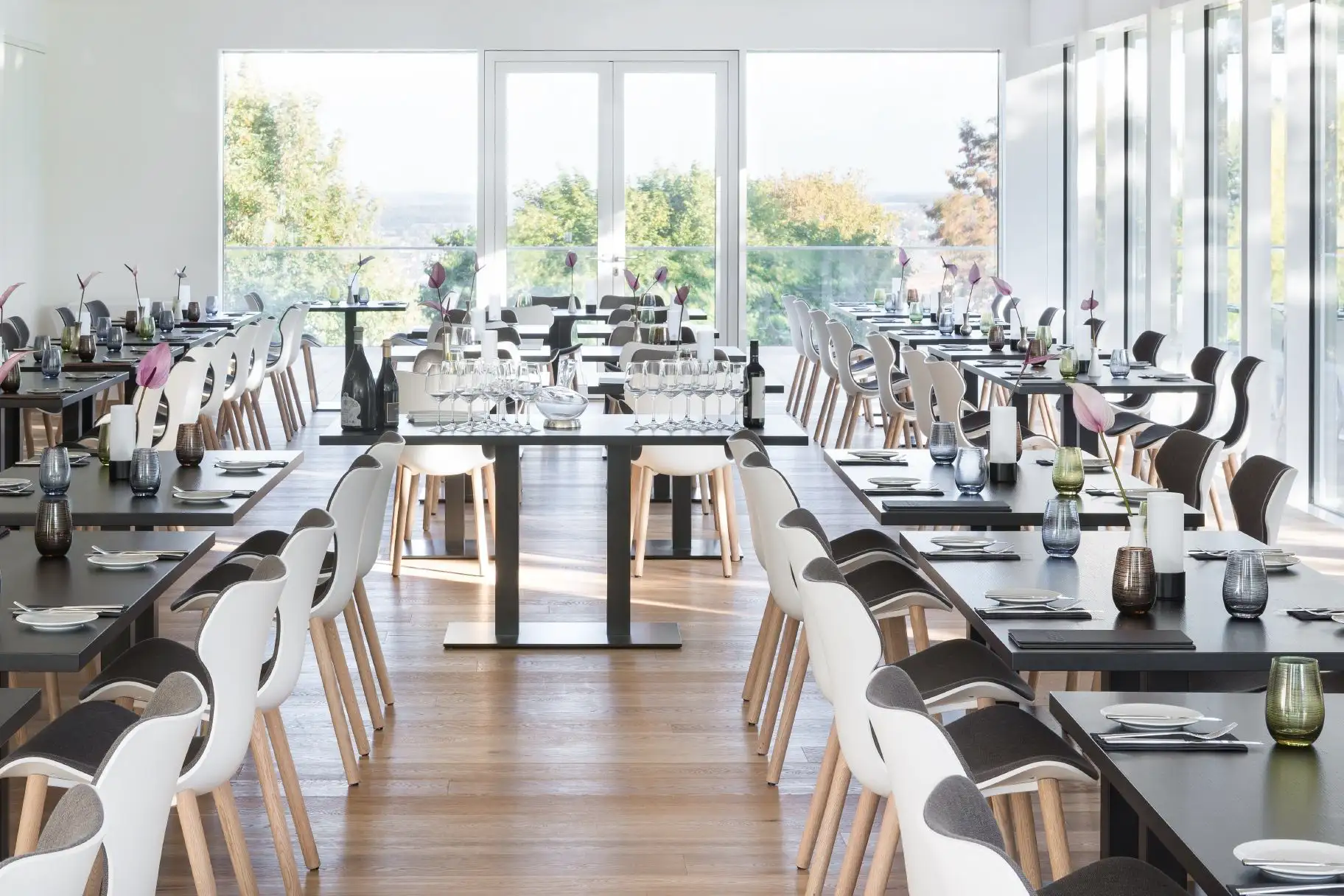 Moderner heller Speisesaal mit weißen Stühlen, darauf graue Polster und gedeckten Tischen vor großen Fenstern mit Blick auf grüne Bäume.