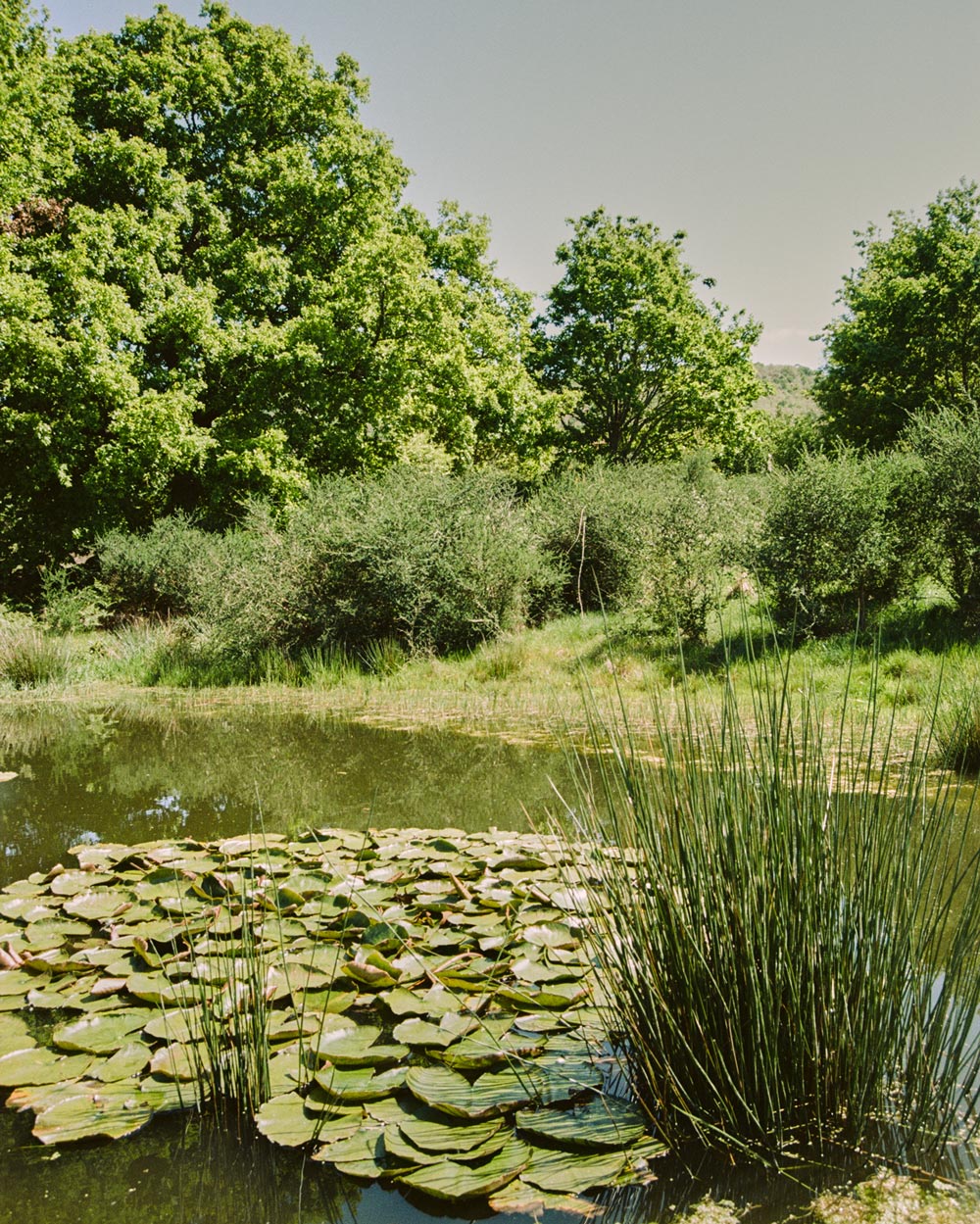 Gestión Integral del Territorio