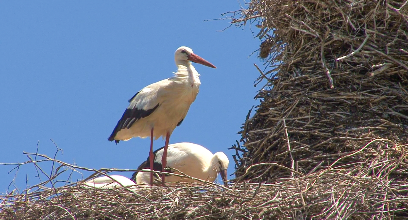 La Ciclopedonale della Val di Neto e il Piano d'Azione della Riserva della Biosfera Sila: costruiamo insieme nuove idee per il territorio