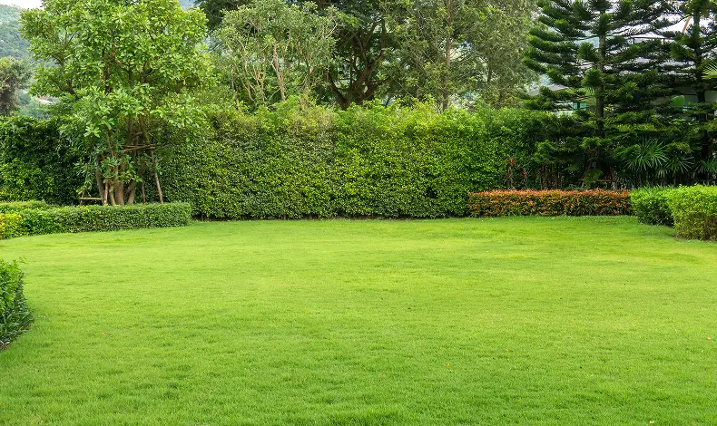 Landscape Management