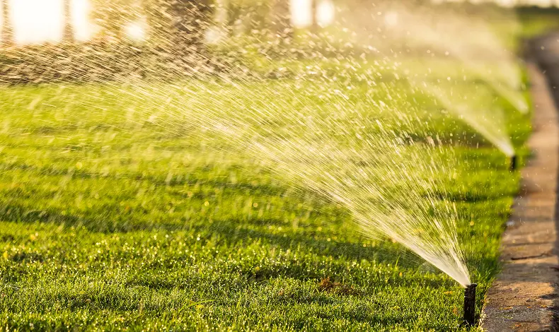 Sprinkler Maintenance
