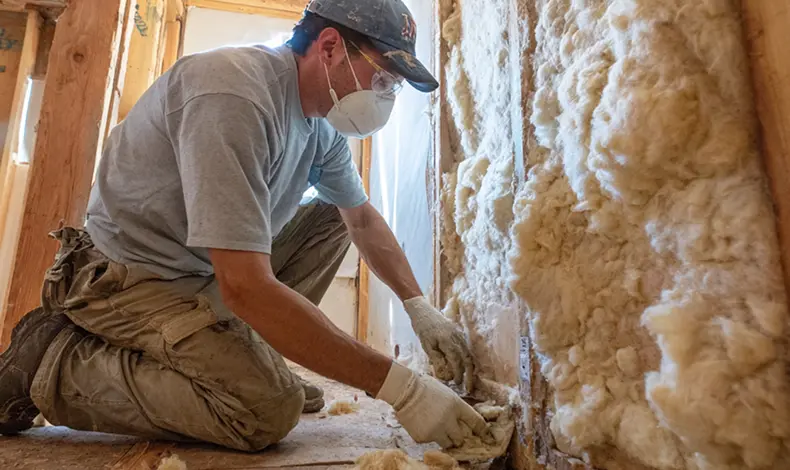 Insulation Removal