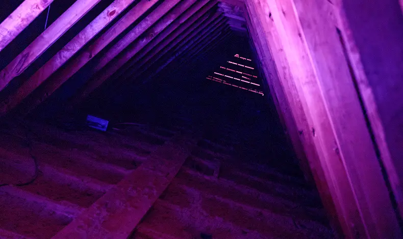 Attic Insulation