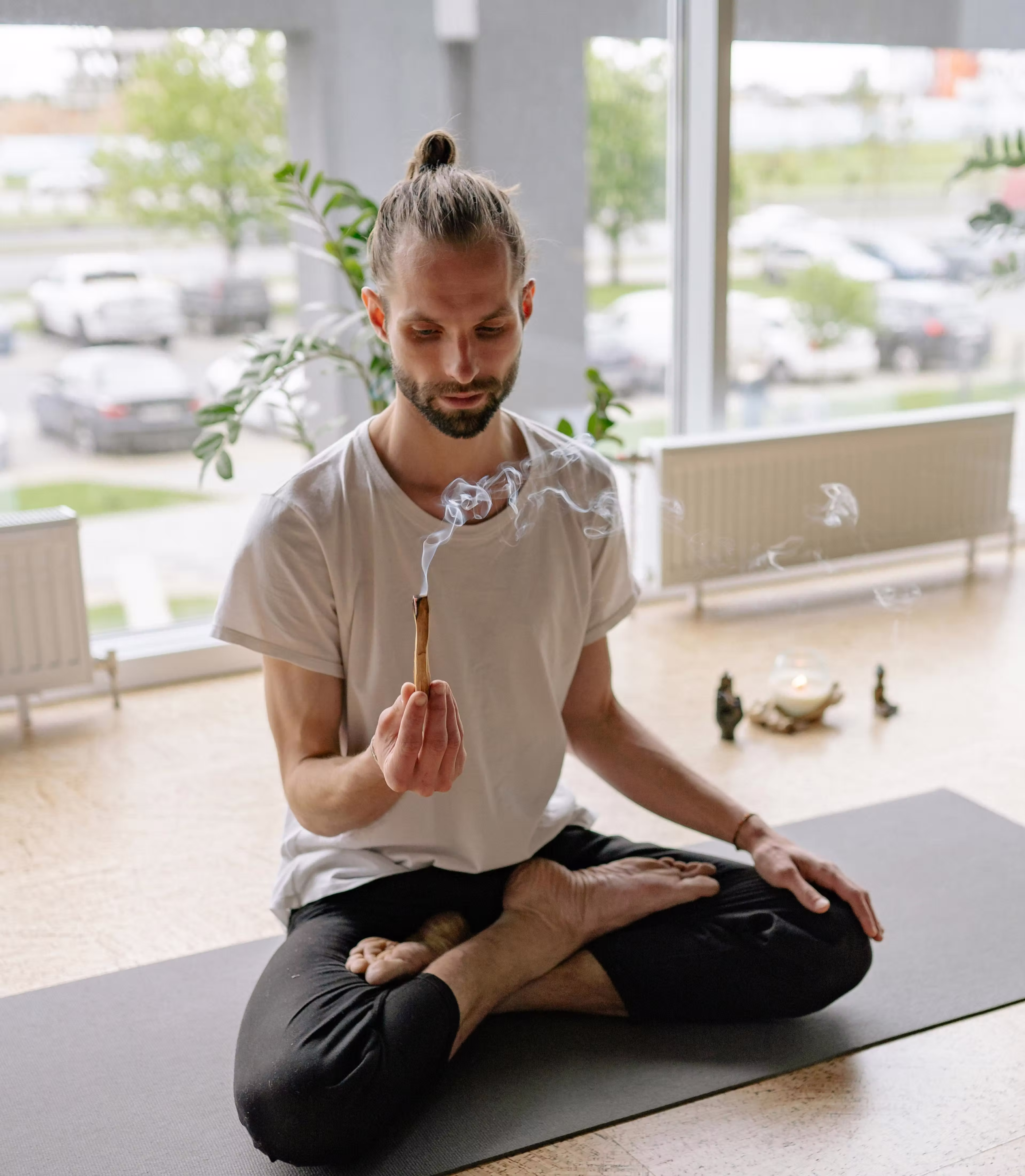 pulseon home one support