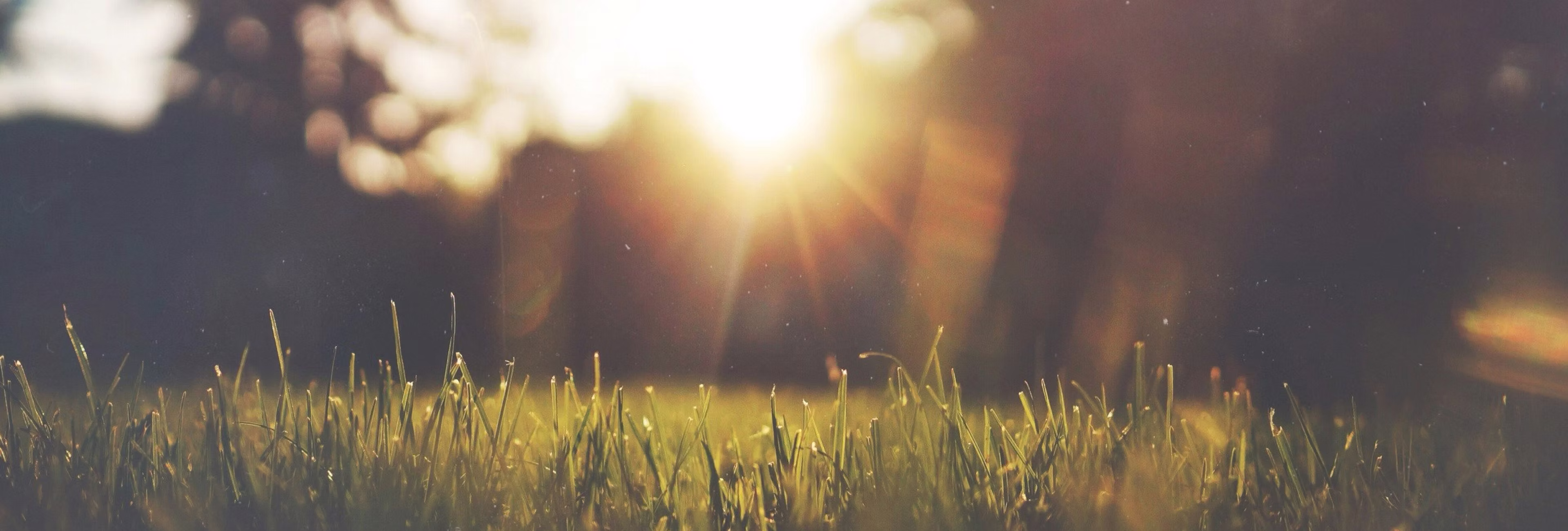 pulseon blog banner image