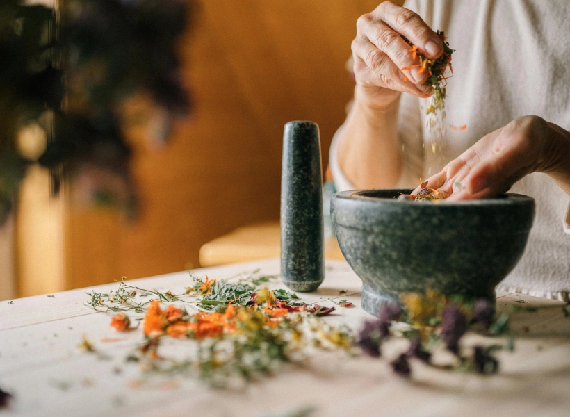 Building Biology - Bring Divinity indoors & inside