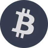 Bitcoin network logo icon