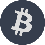 Bitcoin network logo icon
