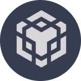 BNB network logo icon