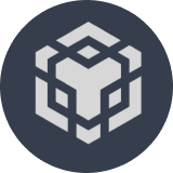 BNB network logo icon