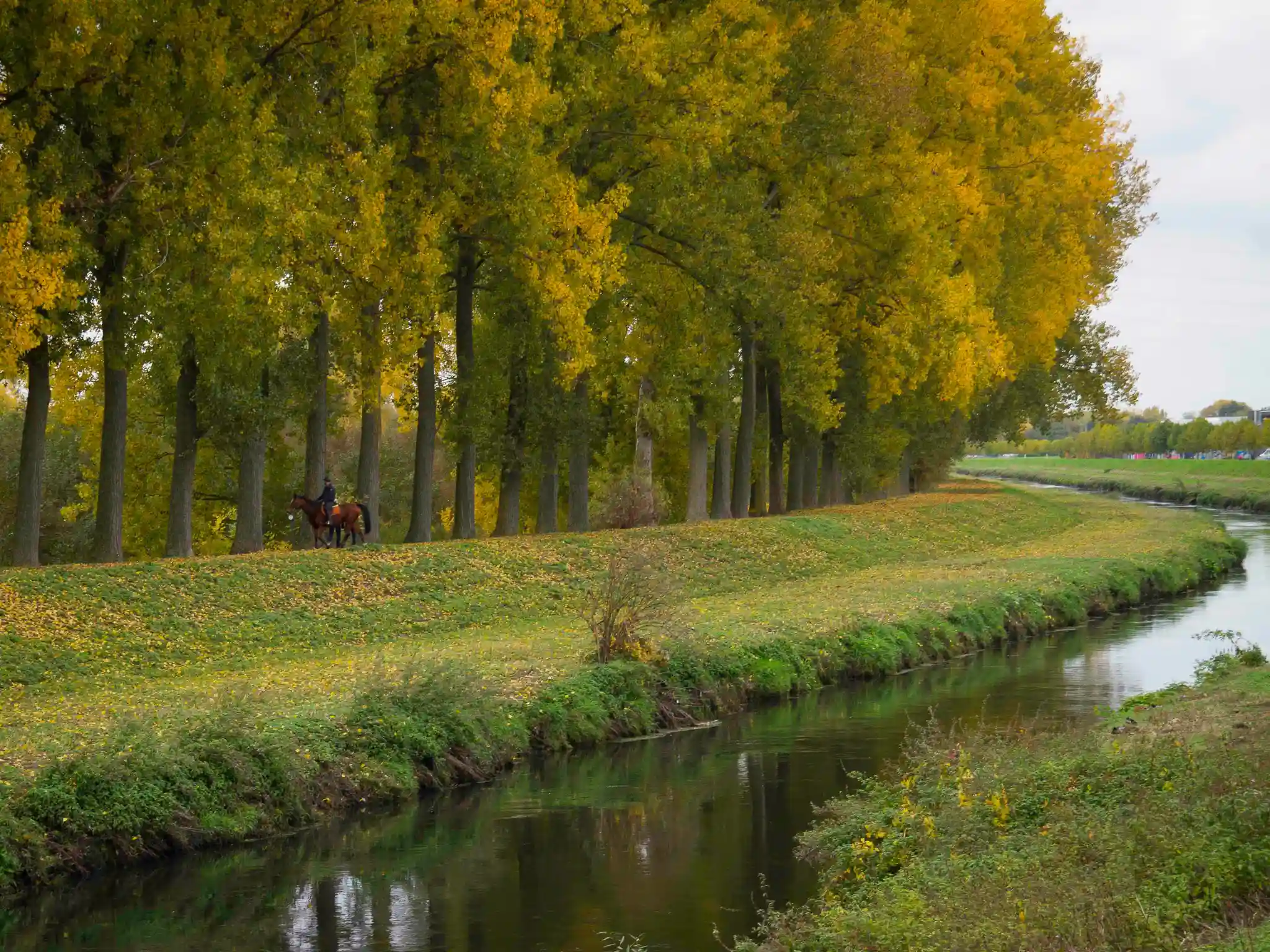 De Zenne tussen de groene oevers in Vilvoorde