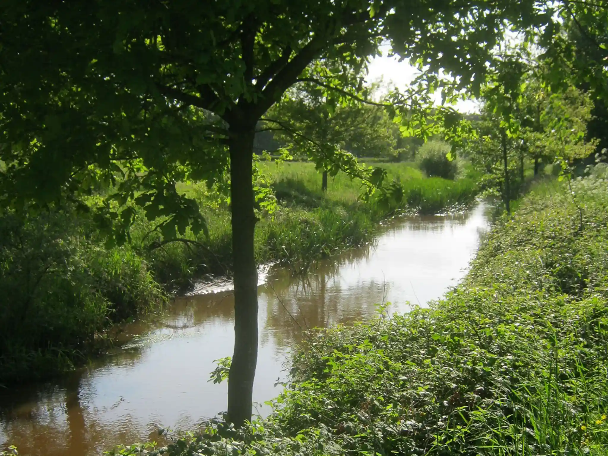 De Grote Nete in Geel