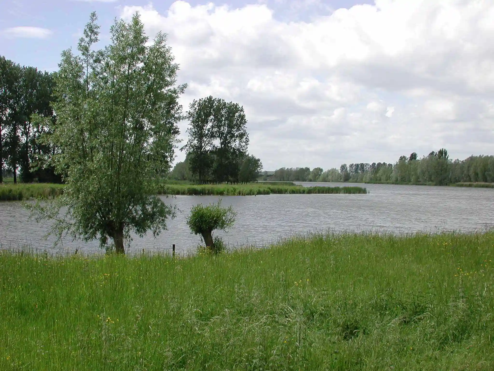 De Grote Geule, kreek in de Wase polder bij Kieldrecht (Beveren)