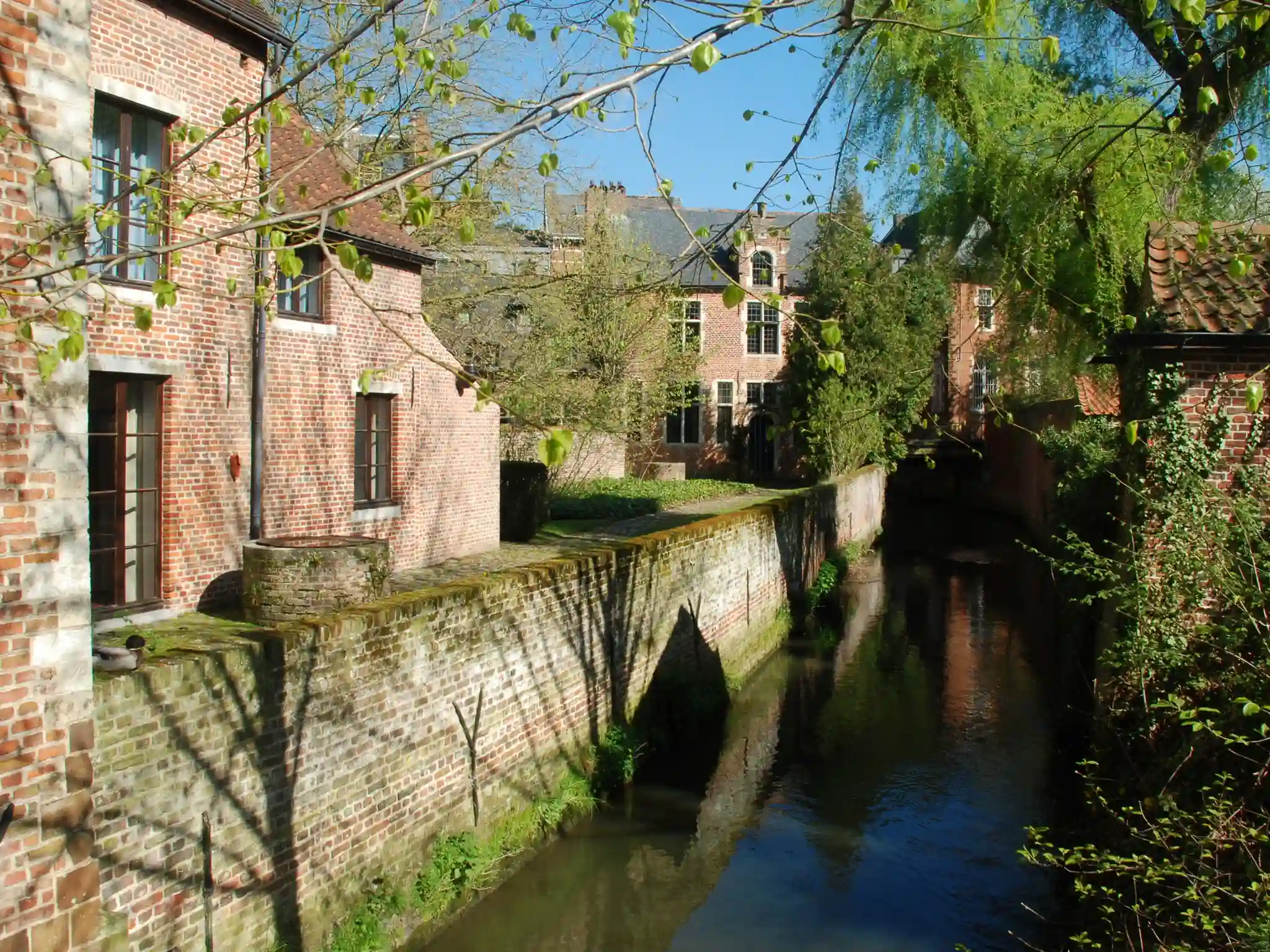 De Dijle door het Groot Begijnhof van Leuven, Vlaams-Brabant
