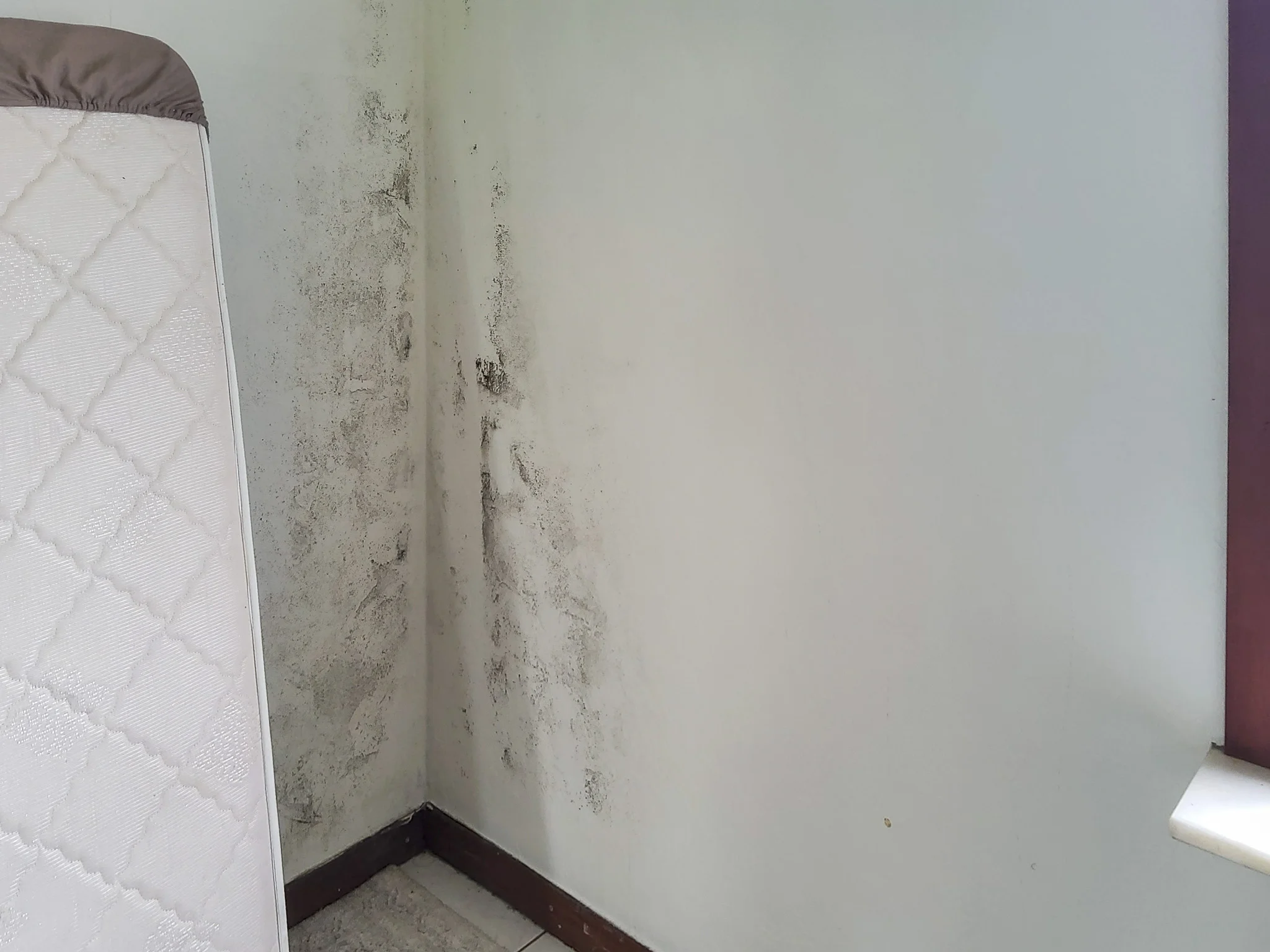 Zwarte schimmel in de hoek van een slaapkamer, ontstaan door condensatie